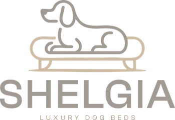 Shelgia